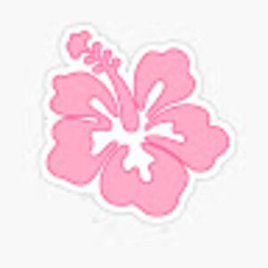 Meet your Posher, Griffin